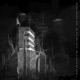 Midnight Run WrongspeaK Remix Single