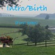 Intro Birth First Take Single