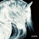 leave feat Nosiah CLOUDEE Single