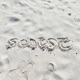 scntst Single