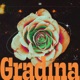 Gradina Single