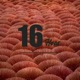 16Hoes feat Brown Creed Bellemie Single