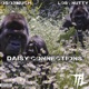 Daisy Connections Single feat Los WB Nutty Single
