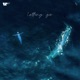 Letting Go Single