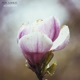 Acceptance EP