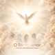 O Santo Amor Single