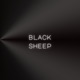 black sheep Single