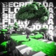 SEGREDO DA FLORESTA Single