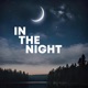In The Night Single