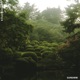 SUNSHINE Single