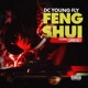 Feng Shui Single