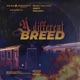 A different breed feat Lempo Karlanga Single