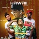 Hawaii Remix feat La Greña Single