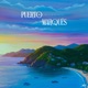 Puerto Marqués 3 feat Willie Mireles Single