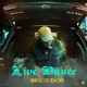 Live Dunce Single