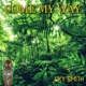 Come My Way Single