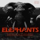 Elephants Single