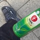 Grüner Tee Single