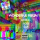 WONDERFUL FEELIN feat YODI CAP Single