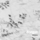 Forget Single