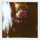 An Ever Changing Place Single