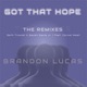 Got That Hope The Remixes feat Cornel West Single
