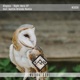 Right Here EP