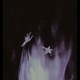 Fall Into Disrepair feat K1ttyuni Single