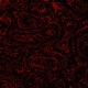 Sry4wakinya EP
