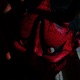 Hannya Single