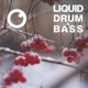 Liquid Drum Bass Sessions 2020 Vol 17