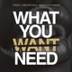 What You Need Single