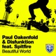 Beautiful World feat Spitfire Single