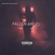 Fallen Angel feat DuLA Single