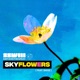 SKY FLOWERS feat Sigge Single