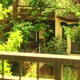 On The Porch Single