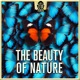 Beauty of Nature Cheerful and Easygoing Acoustic Guitar Folk
