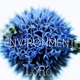 Environment Single