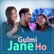 Gulmi Jane Ho feat Meksam Khati Chhetri Single