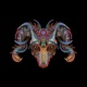 Ghostcatcher EP