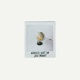 Wereld Niet Om Jou Draait Single