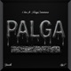 Palga feat TomyZanntana Single