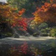 Radiance Single