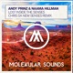 Lost Inside the Senses Chris Sx New Senses Remix Single