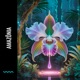 Amazônia Single