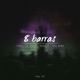 8 Barras Single