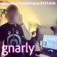 Gnarly Single