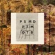 Palm Sweat Marc Ducret Plays the Music of Tim Berne