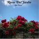 Rosas Del Jardín