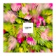 Across the Jungle Single